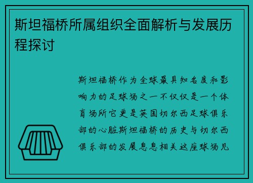 斯坦福桥所属组织全面解析与发展历程探讨